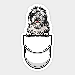 Old English Sheepdog Pocket Dog Sticker